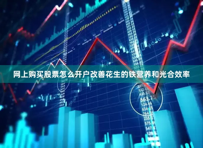网上购买股票怎么开户改善花生的铁营养和光合效率